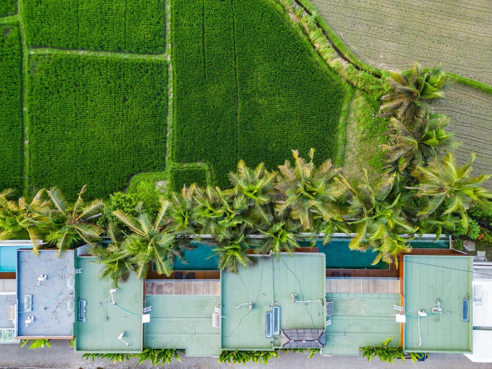 Green Flow Ubud Villa 20 外观 照片
